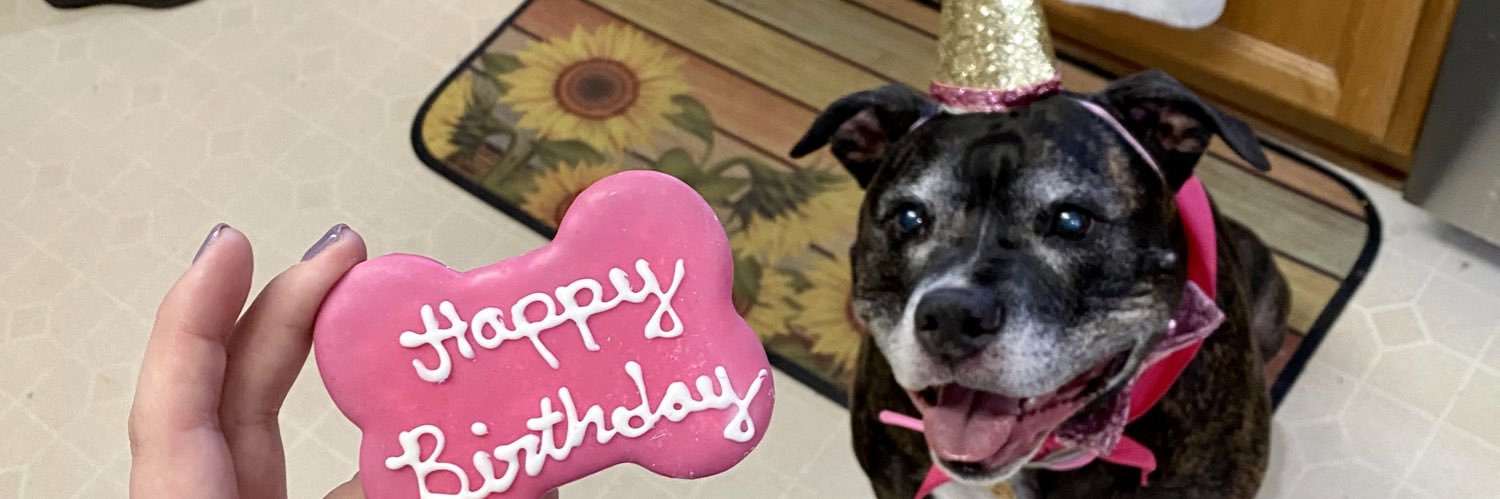 MadzeyDee's profile banner image