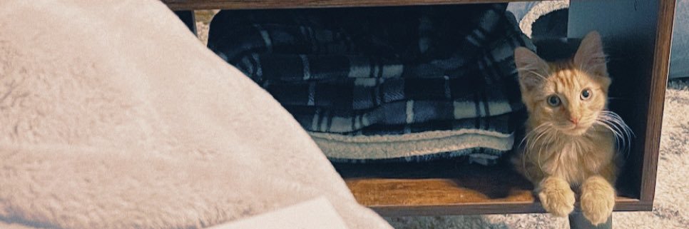 brinarodd's profile banner image
