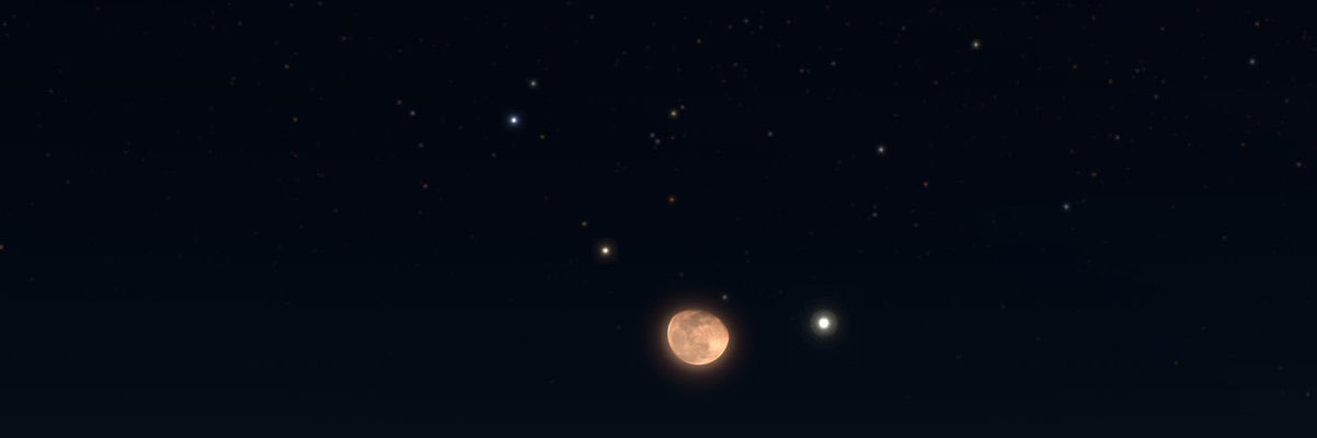 macheboza's profile banner image