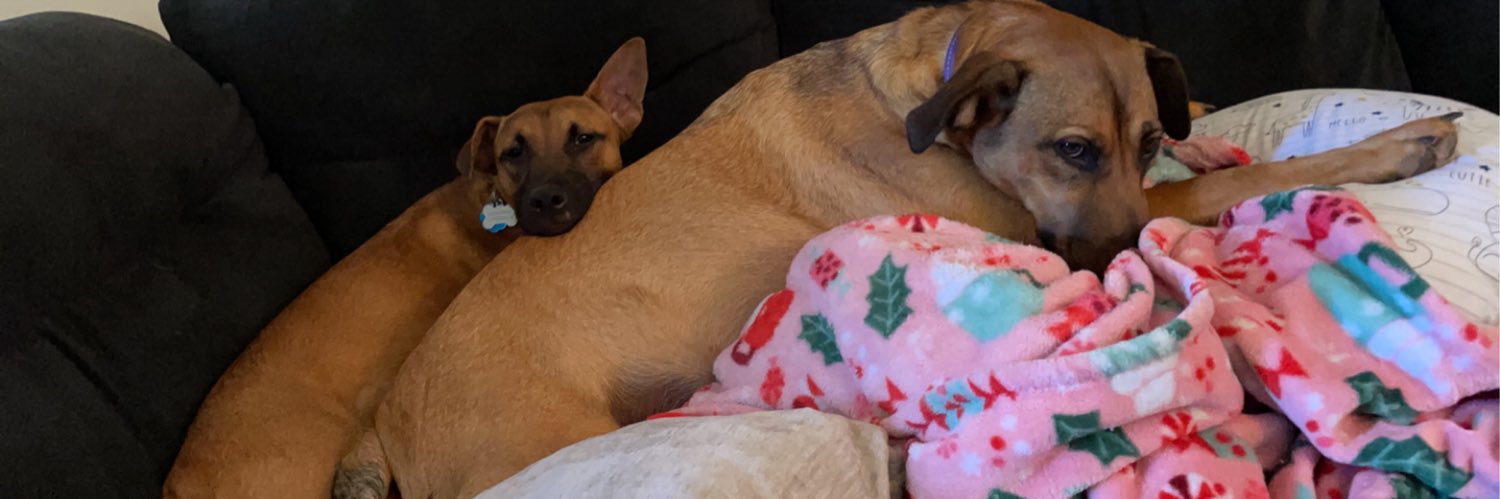 howeisashley's profile banner image