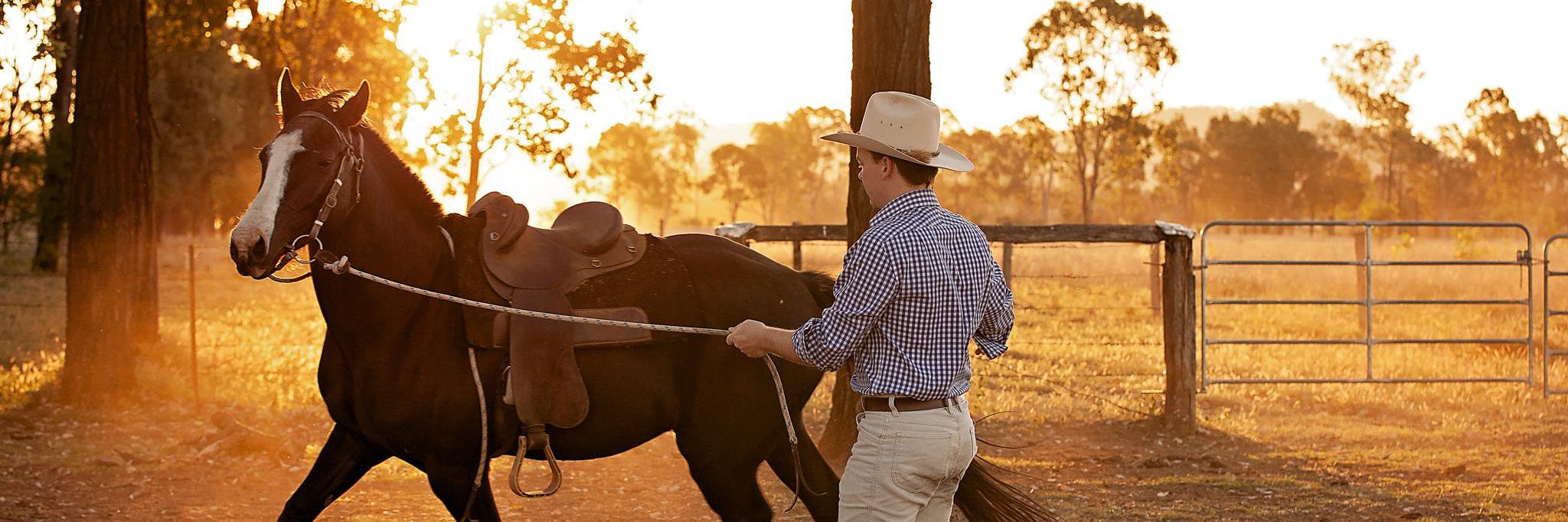 JackPiggott's profile banner image