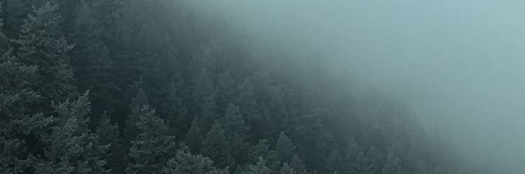 KBunsss's profile banner image
