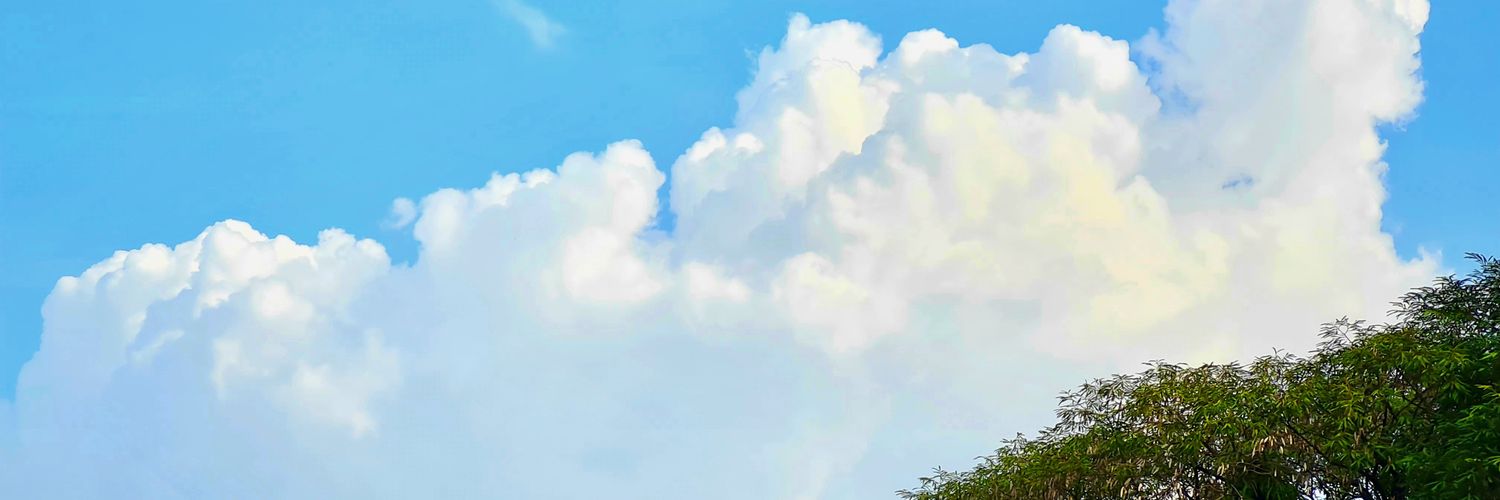 IanRovelo's profile banner image