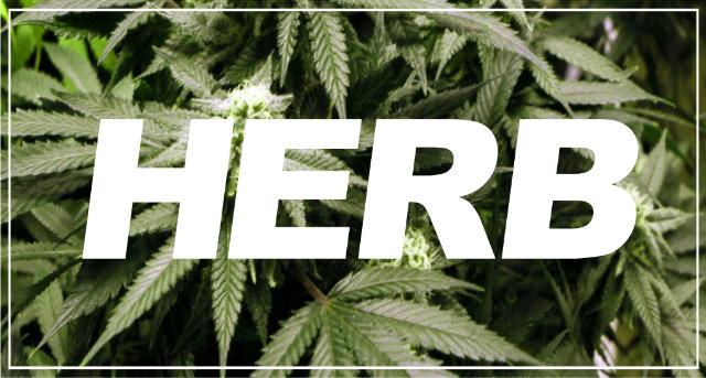 HERB STORE banner