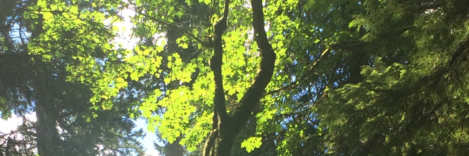 AlleryDan's profile banner image
