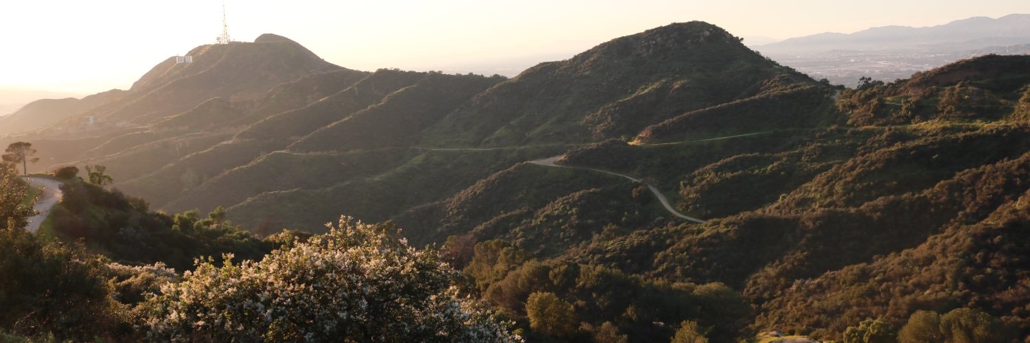 DukeWhitee's profile banner image