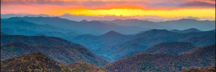 GoelzStacey's profile banner image