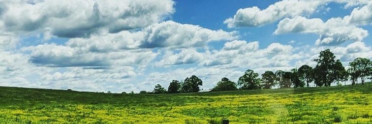 P_Yount23's profile banner image