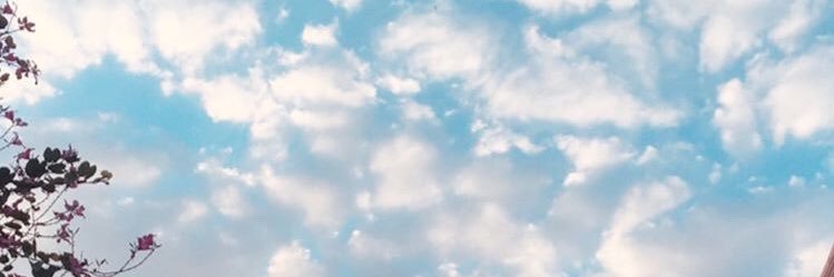 SRossouw's profile banner image