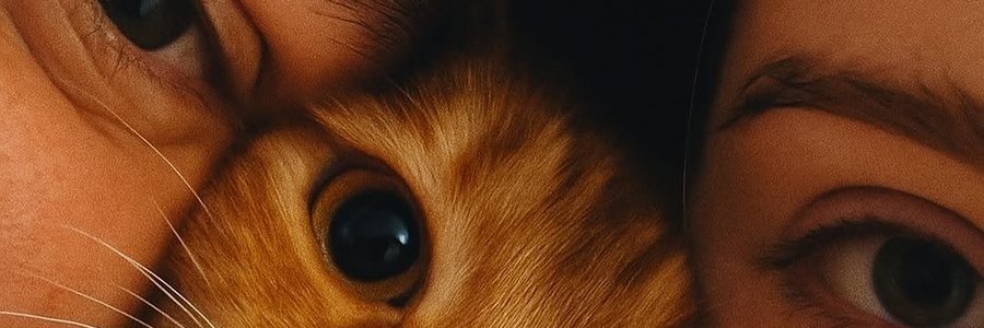 farhanahMJ's profile banner image
