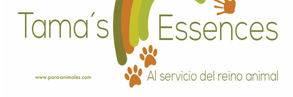 OlgaPorqueras's profile banner image