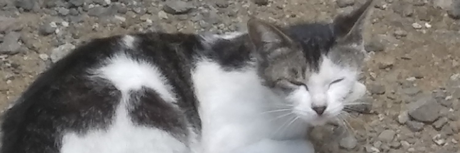 Mitari's profile banner image