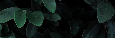 jonsaldo's profile banner image