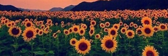Araceli1279's profile banner image