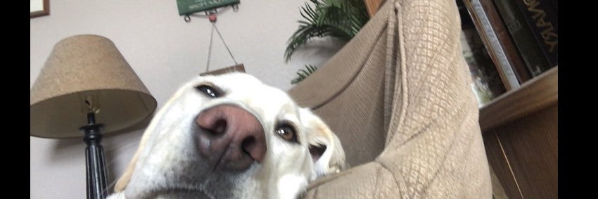 kyleegiles_'s profile banner image