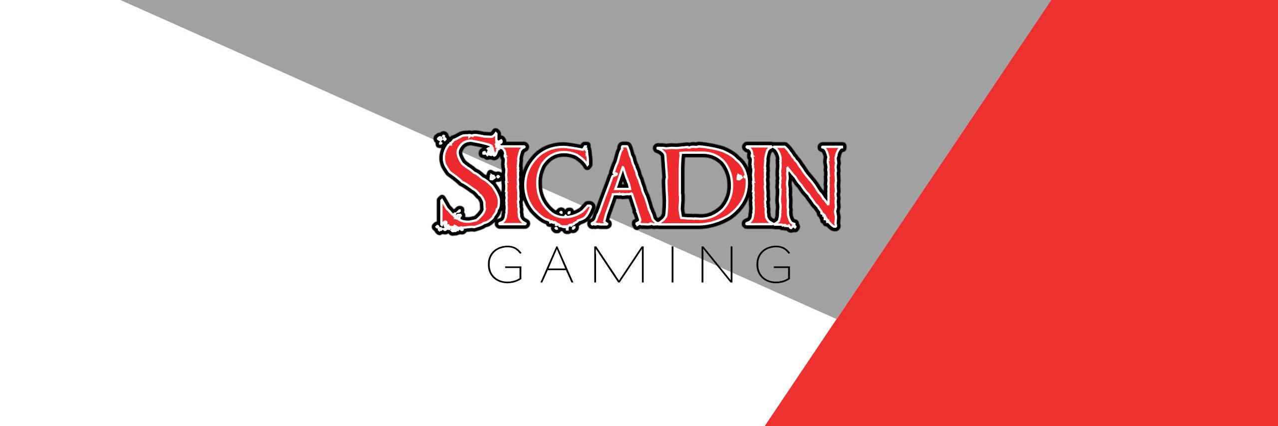 sicadin's profile banner image