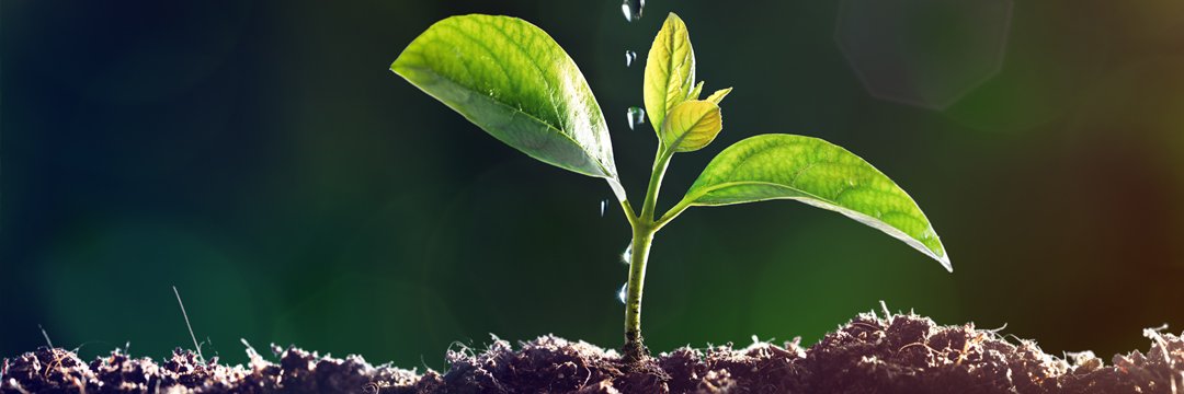 LivingEarthHQ's profile banner image