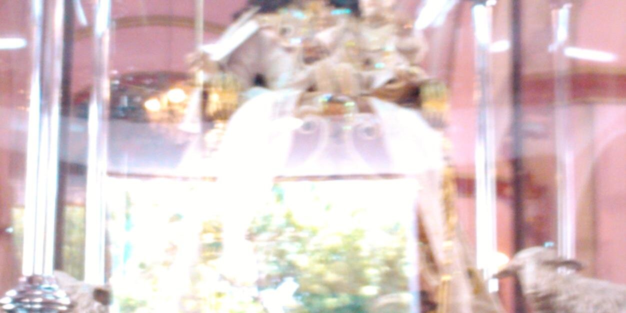 jvargascedeno's profile banner image