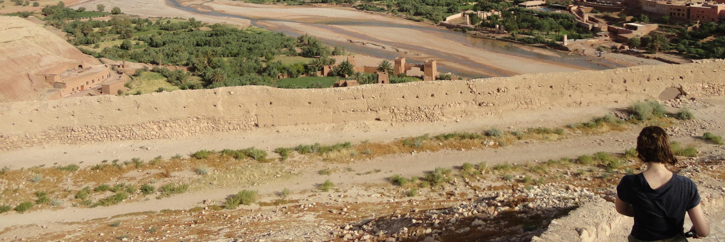 Deniece Wildschut banner