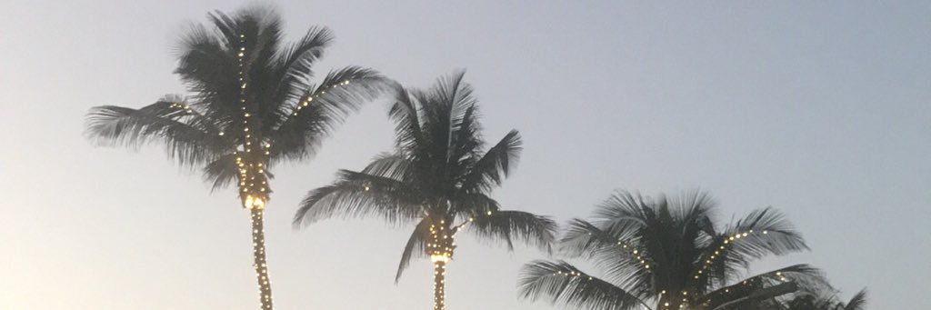 mkf711's profile banner image