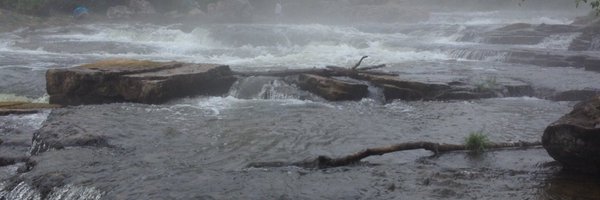 KateDobson12 Profile Banner