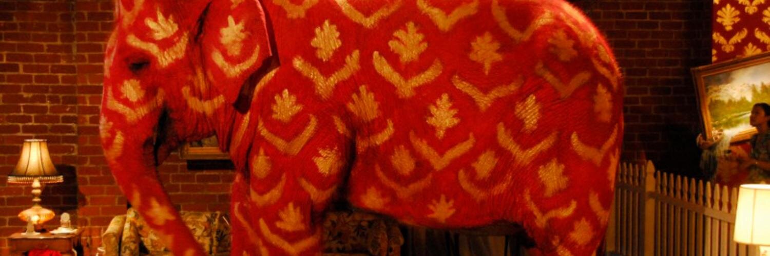 Charlottesoraas's profile banner image