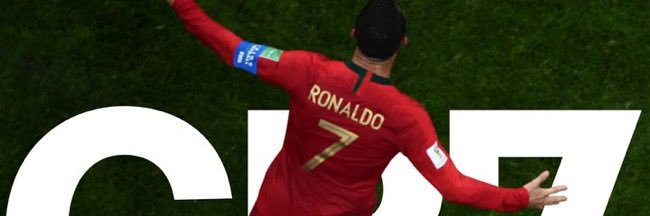 SCR banner