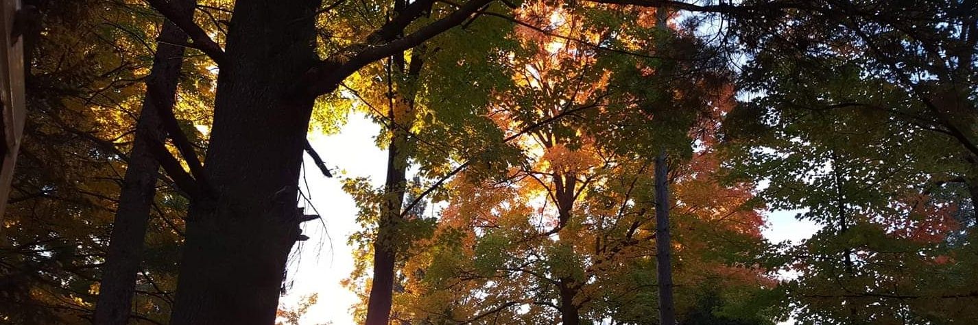 CarrieJ_73's profile banner image