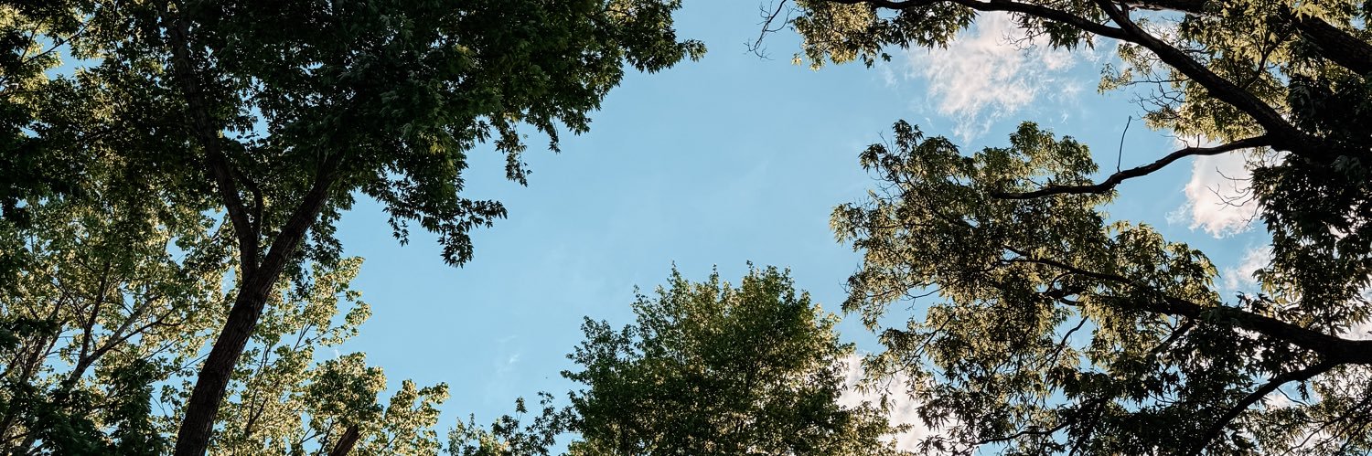 loriiviickers's profile banner image