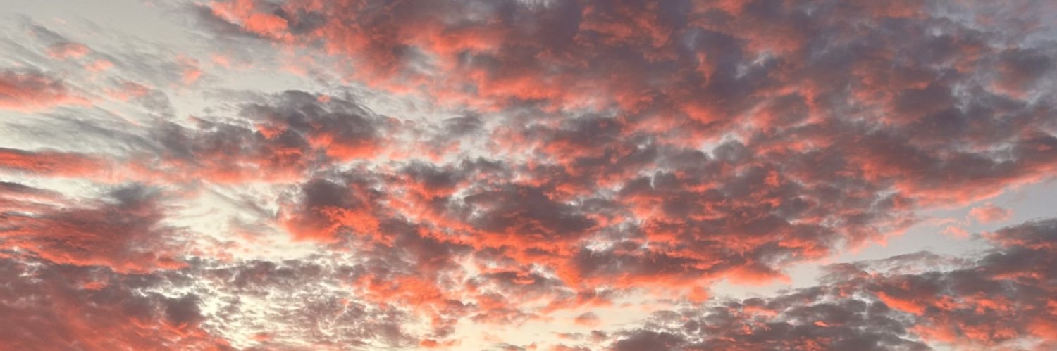beleenirala's profile banner image