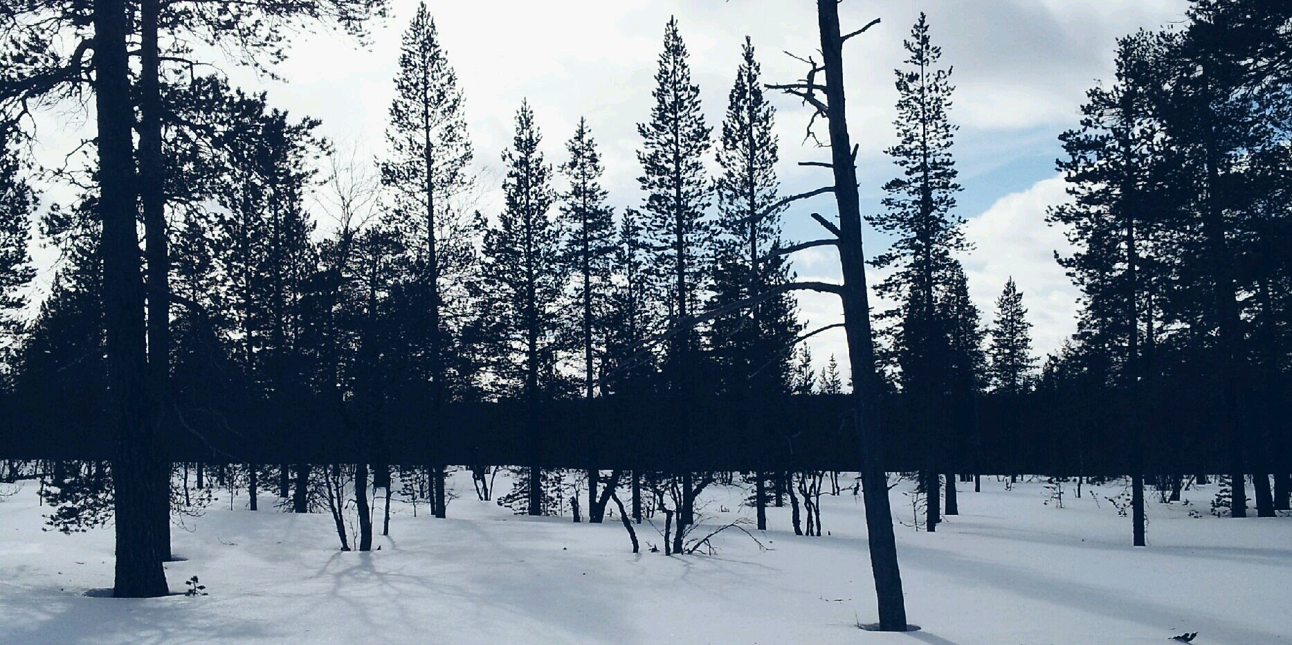 stephpoon's profile banner image