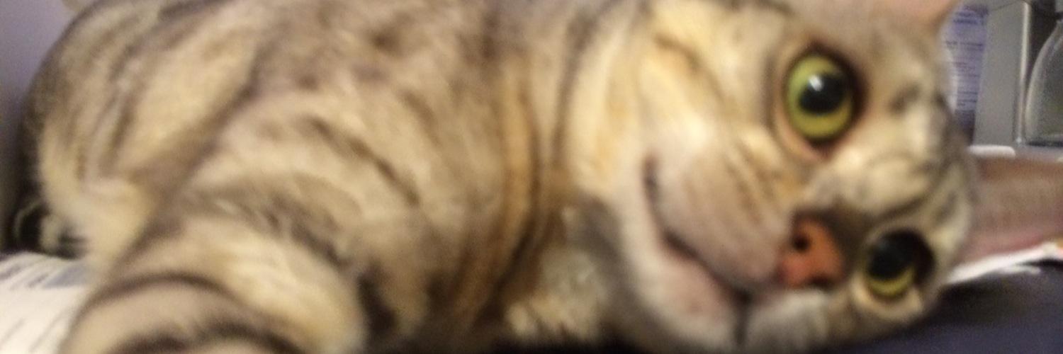 jasondorp's profile banner image