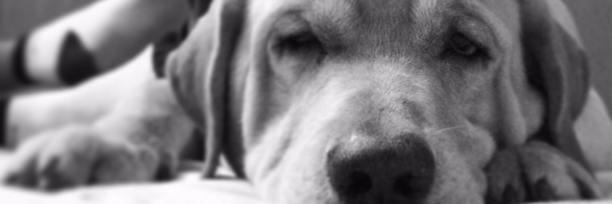 Bexinspecks's profile banner image