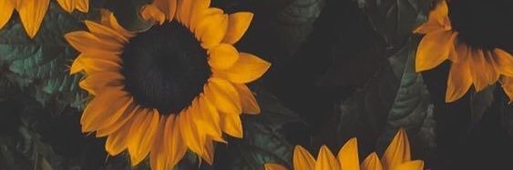 tart banner