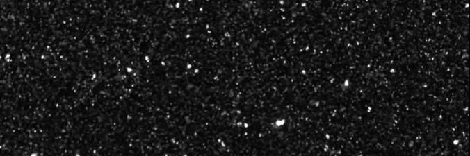 ambers_nicole's profile banner image