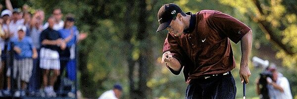 MitchCardi's profile banner image