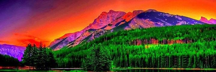 Clint Knowles banner