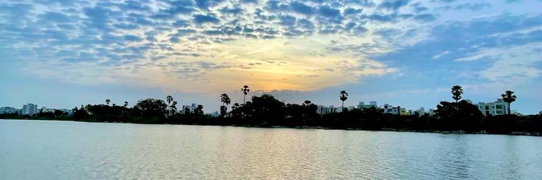 Manognya Reddy banner