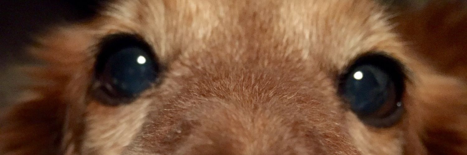 acidman522's profile banner image
