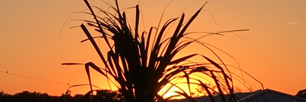 H T banner