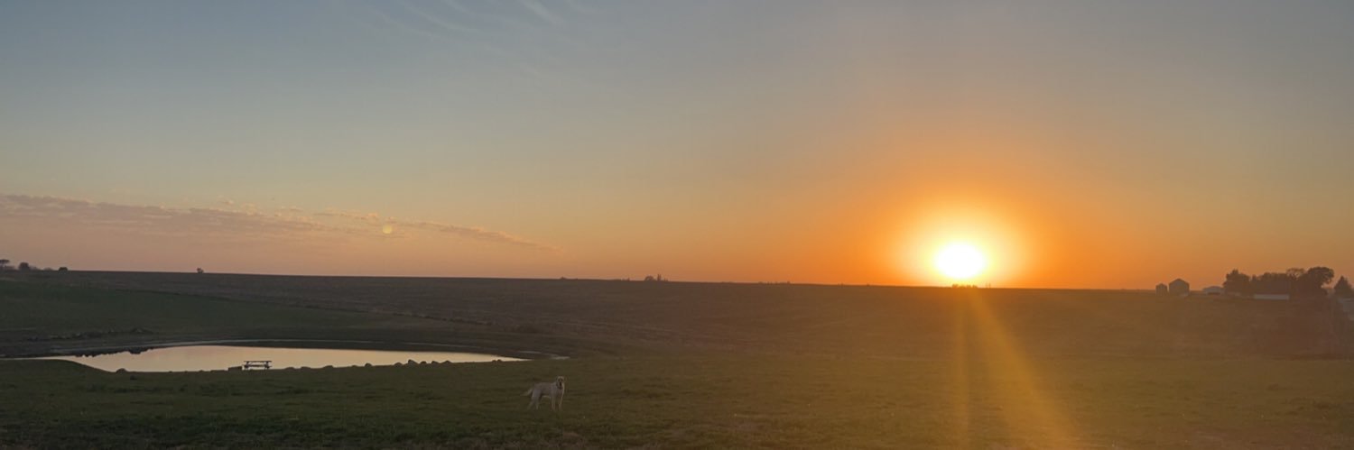 zachbergman8's profile banner image