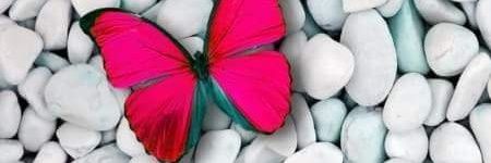 KatherynRengifo's profile banner image