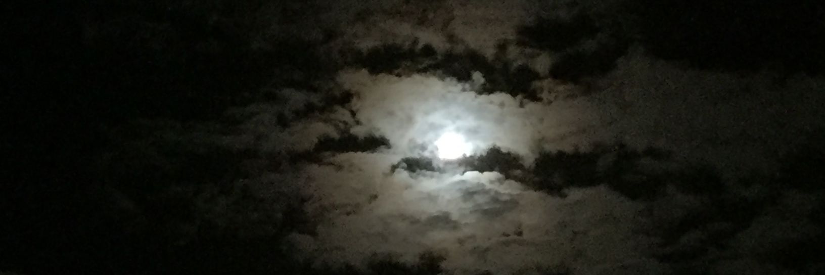 mckusck's profile banner image