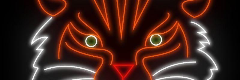 adangerousband's profile banner image