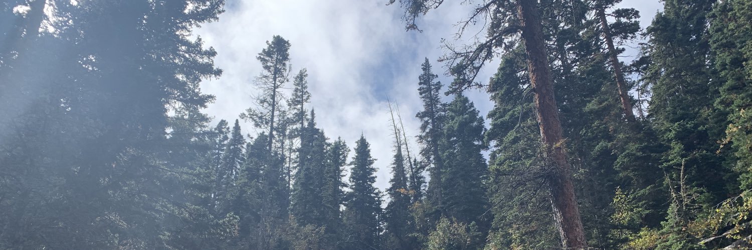 JasmineKBains's profile banner image
