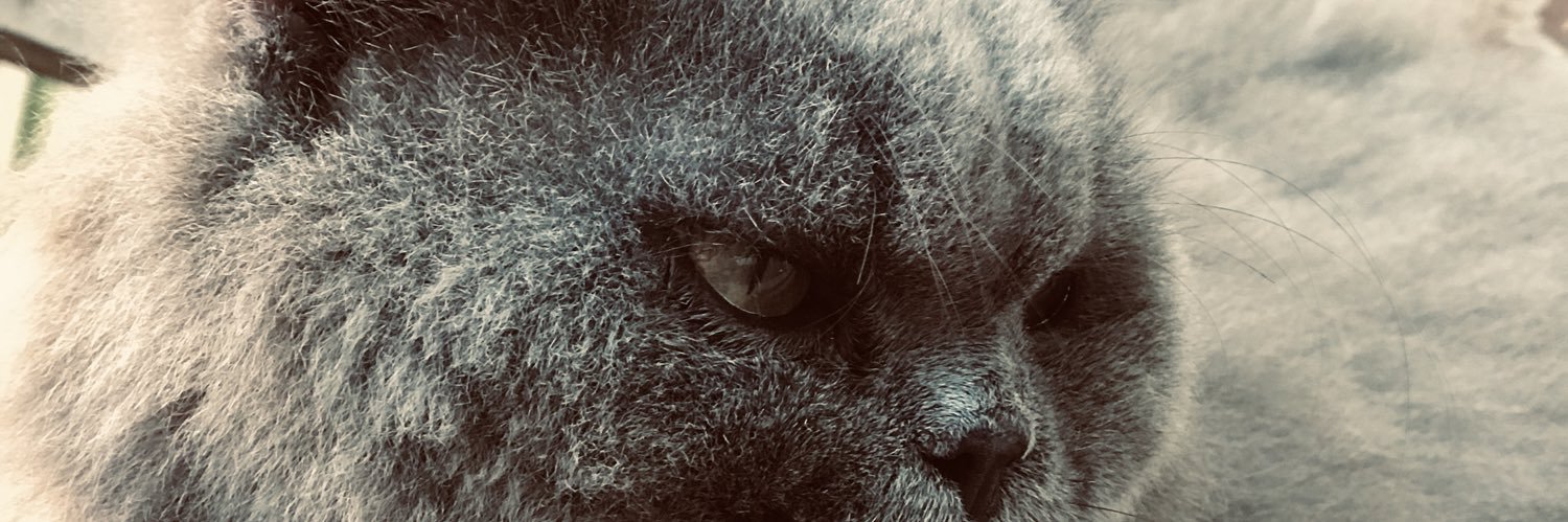 bilagabut's profile banner image