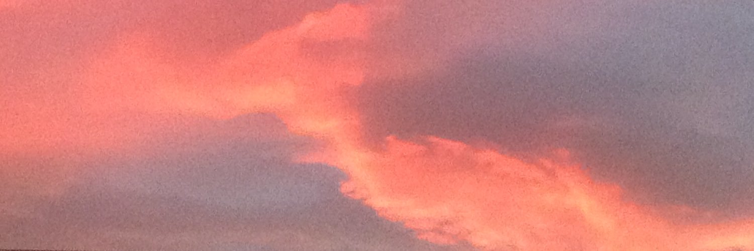 iriszm0m's profile banner image