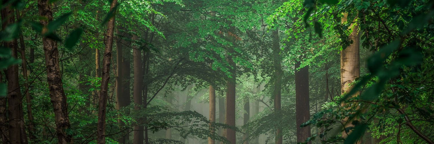 Dpatranda's profile banner image