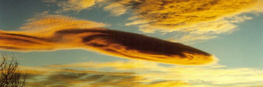 Swing111Wing's profile banner image