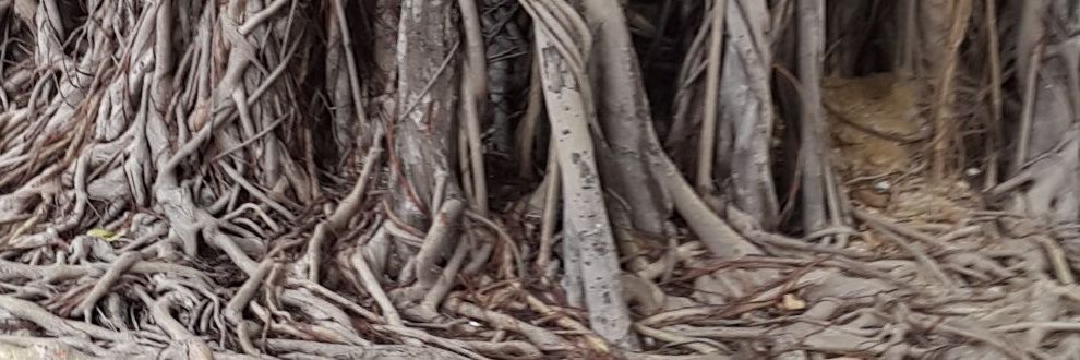 Jatala_ME's profile banner image